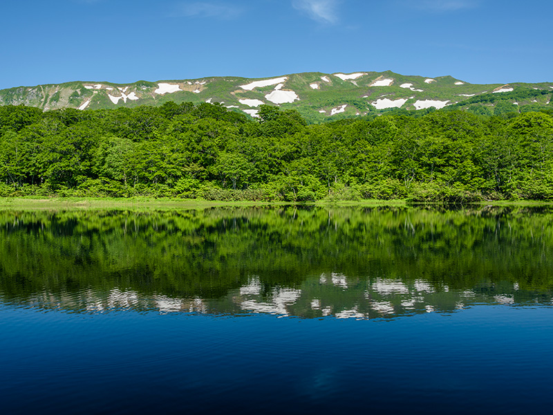 オーガニック金ヶ崎