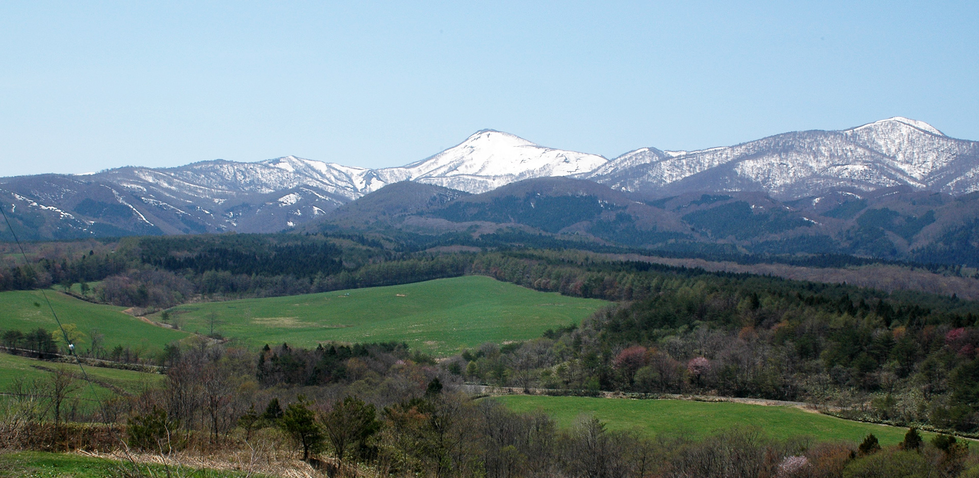 オーガニック金ヶ崎