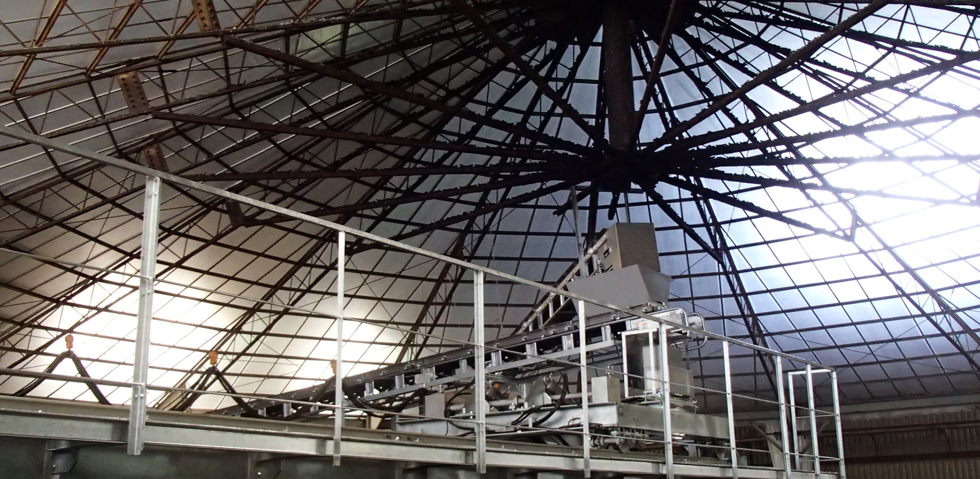 オーガニック金ヶ崎