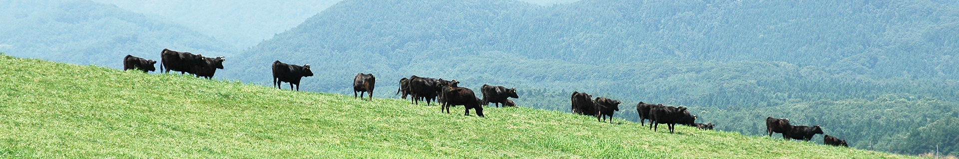 【お問い合わせ】有限会社 オーガニック金ヶ崎【公式】