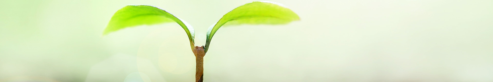 【個人情報保護方針】有限会社 オーガニック金ヶ崎【公式】